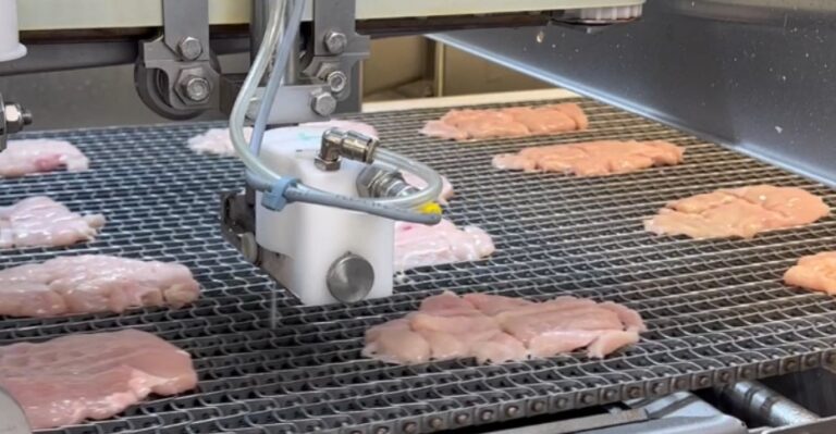 DSI Waterjet Cutter Portioner Hähnchen Geflügel Fleisch